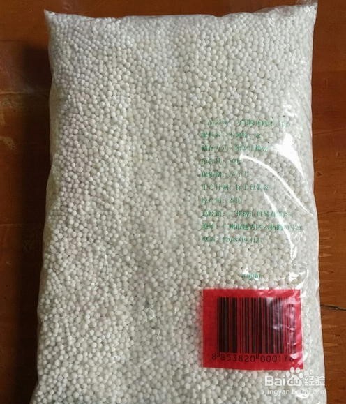 椰汁西米露的做法