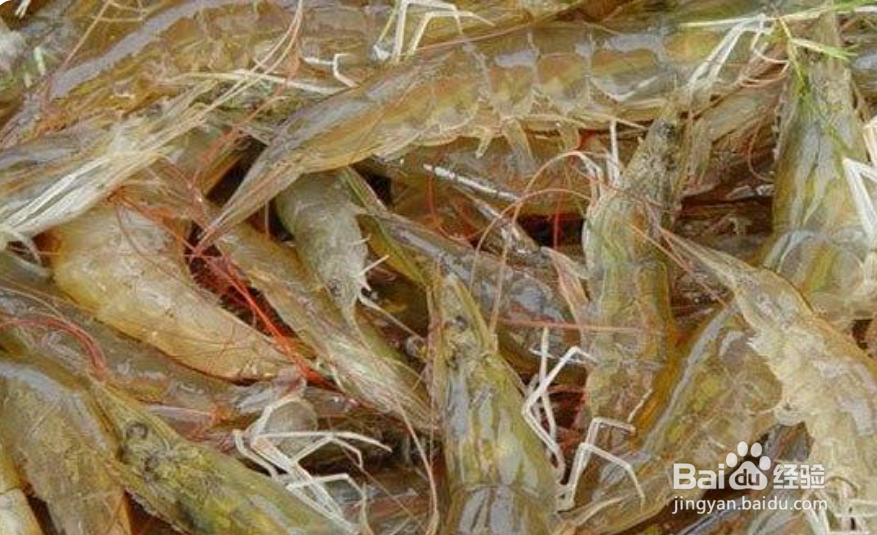 葫芦岛有什么好吃的