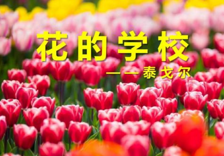 一群一群的花丛无人知道的地方突然跑出来，在绿草上跳舞、狂欢读着这句话，我脑海中浮现出了什么画面