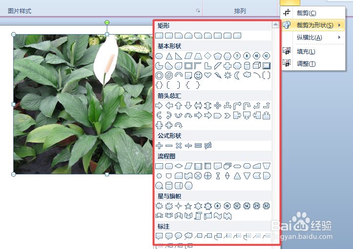 在PPT中如何将图片裁剪为各种形状