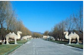 北京适合老年人免费游的景点