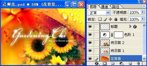 Photoshop初学者应了解的一些专业术语