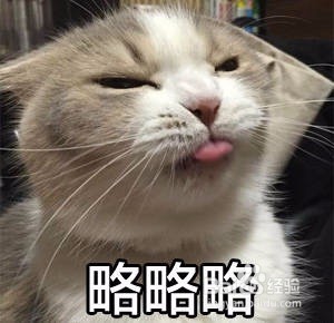 小心！兼职打字是骗局