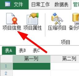 Access如何查看项目信息