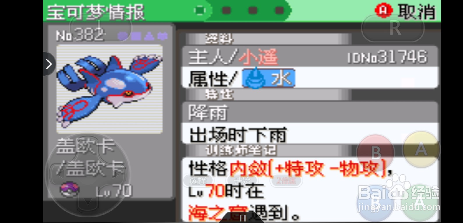 口袋妖怪雨天队介绍