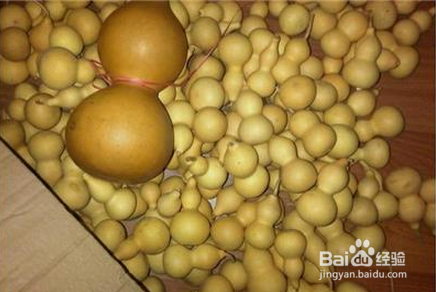 葫芦的各型分类