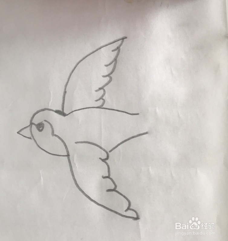 【简笔画】小燕子的分步画法