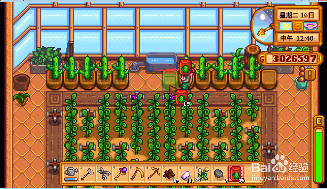 星露谷物语仙人掌怎么种