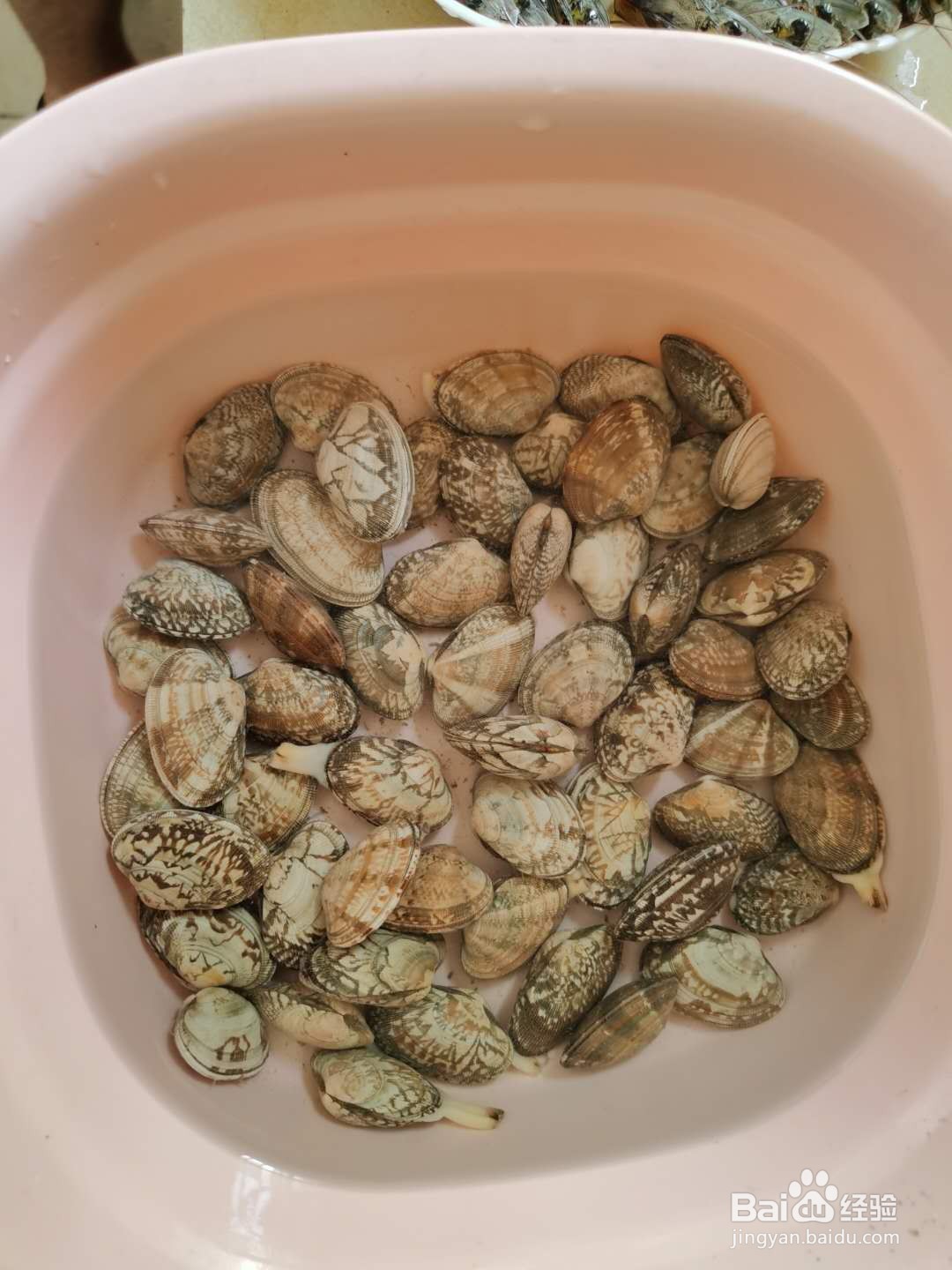 花甲怎么做好吃