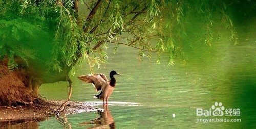 父亲节一家人在北京过节的好去处