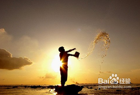 探寻神秘的意境超强10招搞定剪影摄影