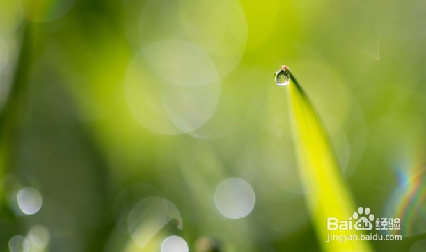 英语书写中应注意的书写中“移行”规则