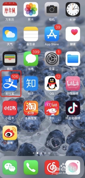 手机支付宝如何开启订单进度功能