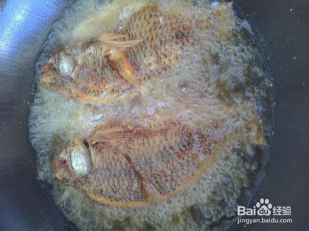 美味煎焖福寿鱼