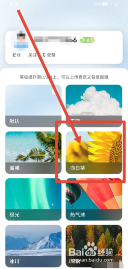 携程旅行如何更换个人主页皮肤？