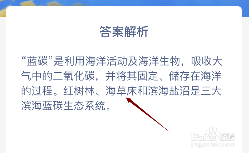 神奇海洋以下属于滨海蓝碳生态系统的是