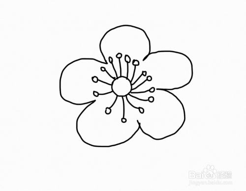 怎么画简笔画花儿?