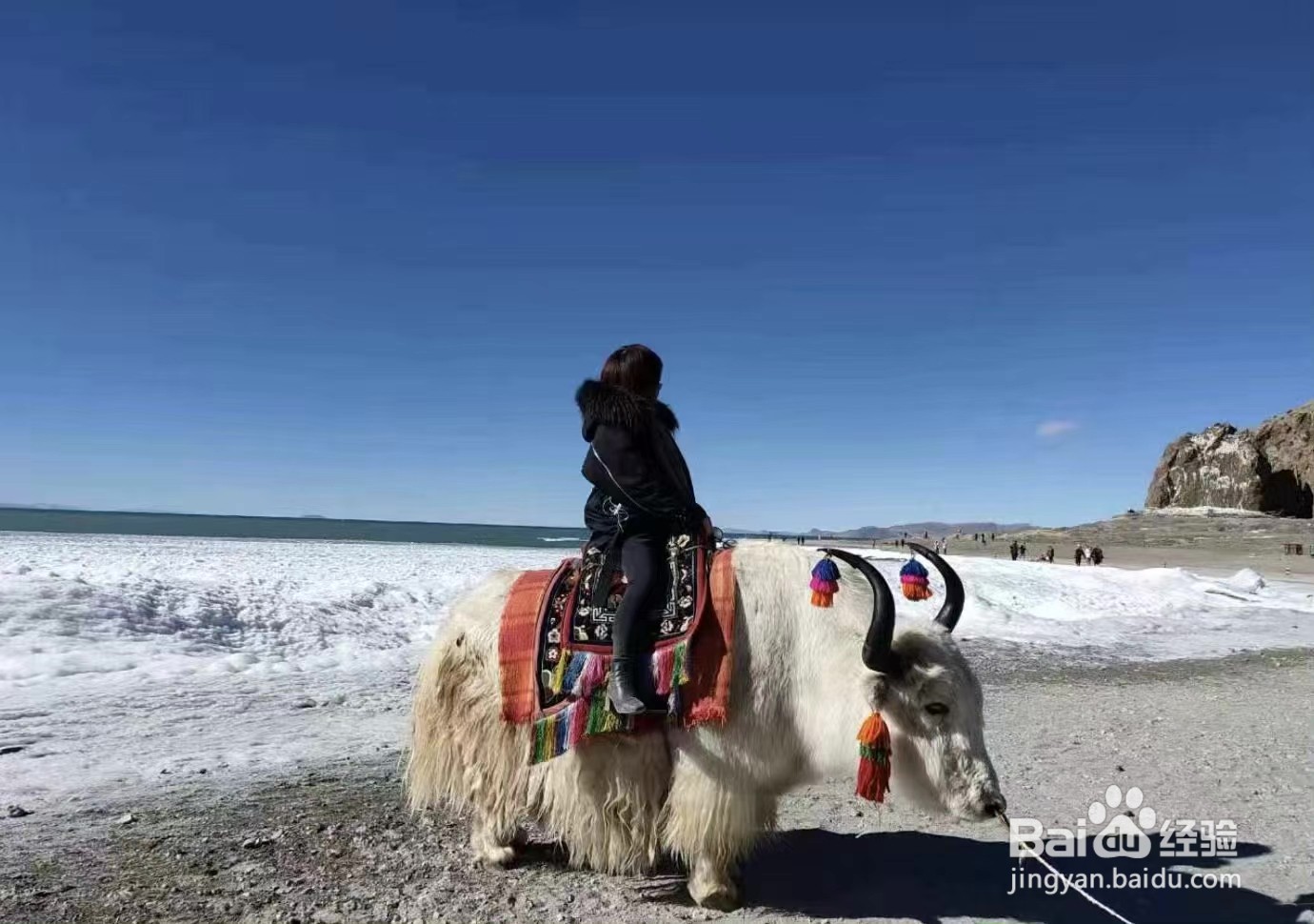 重庆到西藏拉萨怎么游玩?