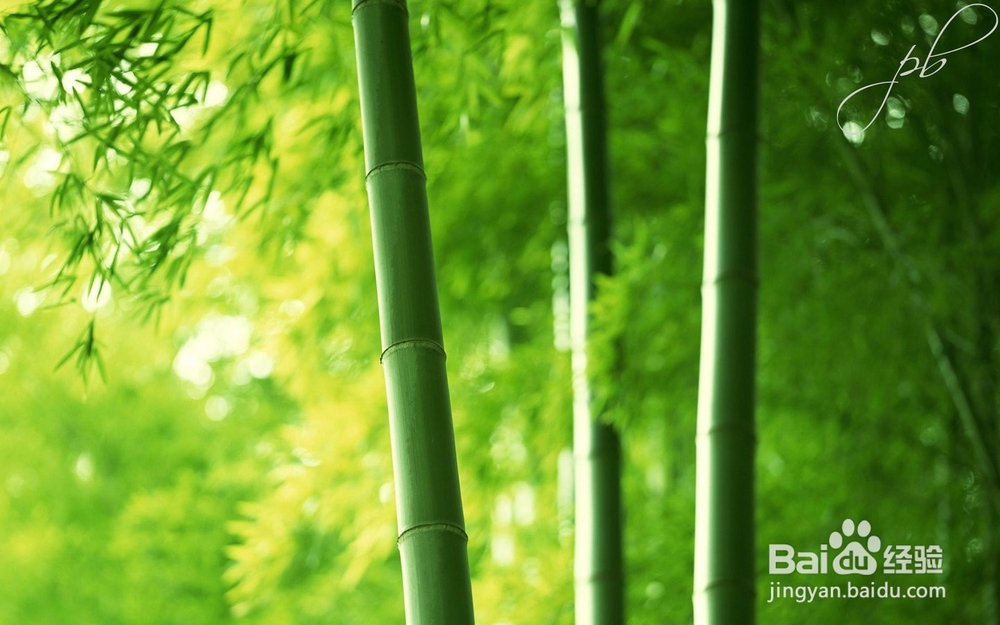 痤疮症状与防治