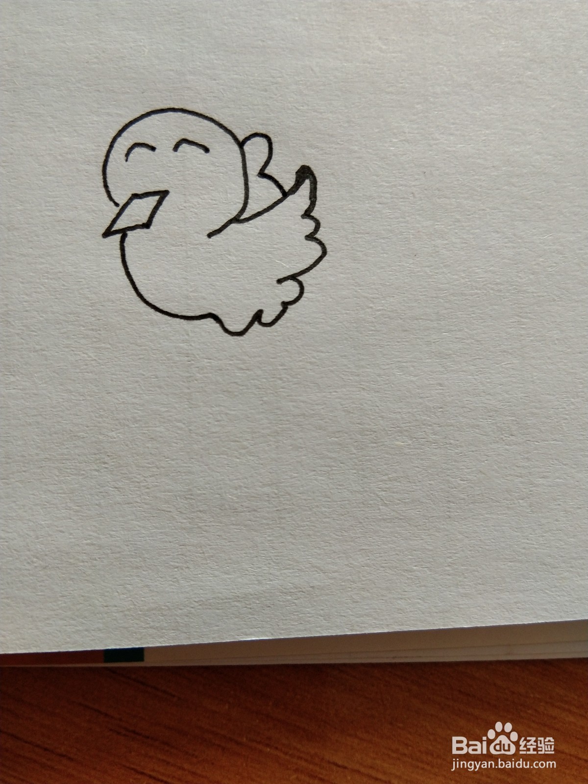 小鸟的简笔画