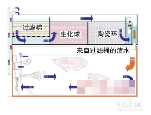 鱼缸常见的八大过滤形式