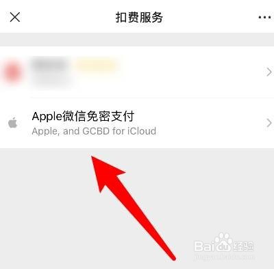苹果手机如何取消微信免密支付