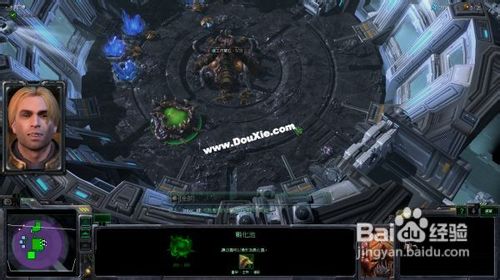 星际争霸2虫群之心秘籍大全