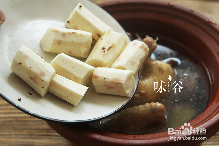 美食教学之山药鸽子汤秋冬养生!