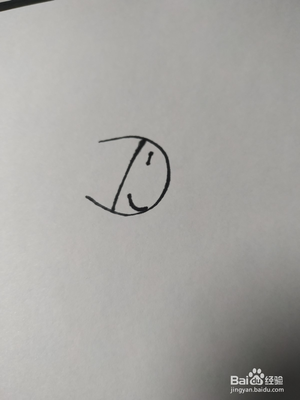 毛驴的简笔画技法4