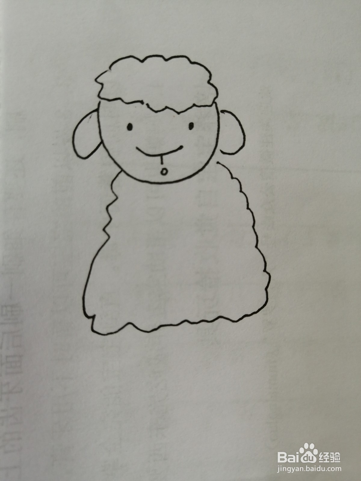 可爱的小绵羊怎么画
