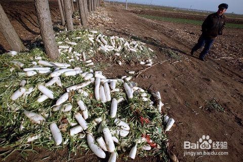 农产品上行存在四个问题