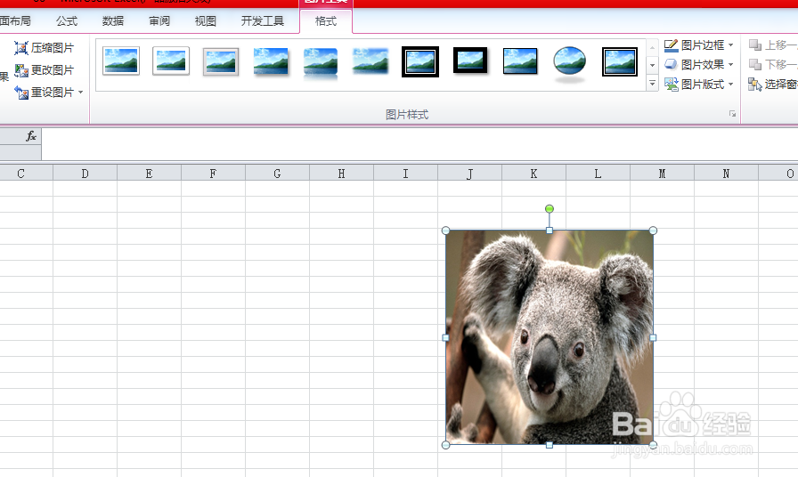 excel中图片调整的众多技巧