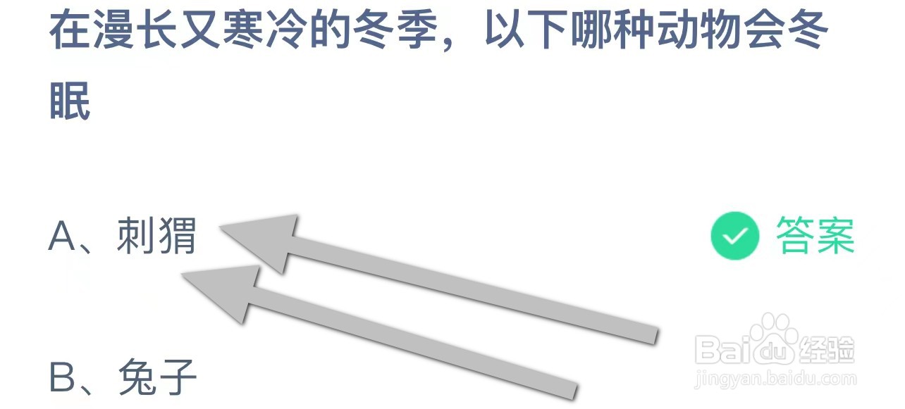 在漫长又寒冷的冬季，以下哪种动物会冬眠