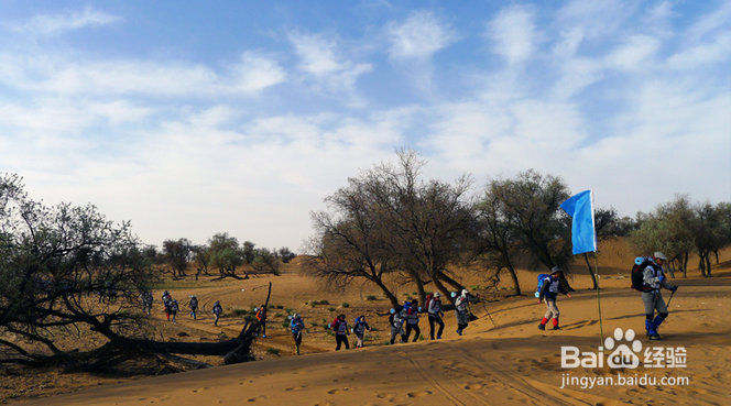 长途开车注意事项机攻略；