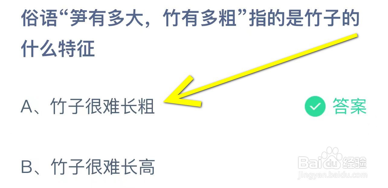笋有多大竹有多粗指竹子的什么特征蚂蚁庄园答案