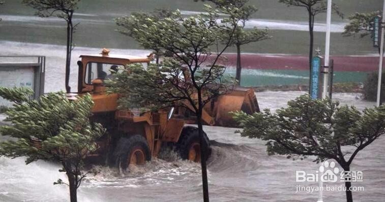 台风来了要注意哪些