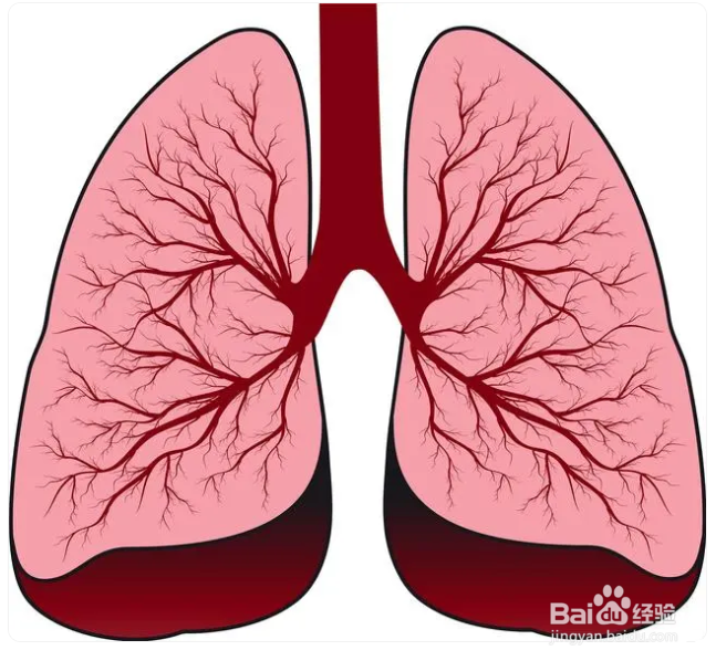 支气管肺炎咳嗽止咳小妙招