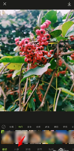 醒图如何去掉水印