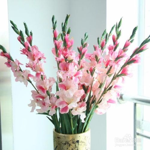 不同的场合应该分别送什么鲜花？