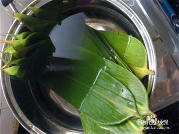 新鲜粽叶怎么处理