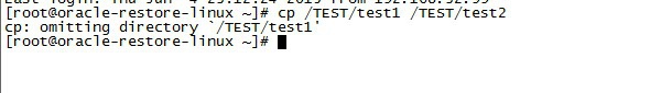 Linux中使用cp命令报cp:omitting directory错误