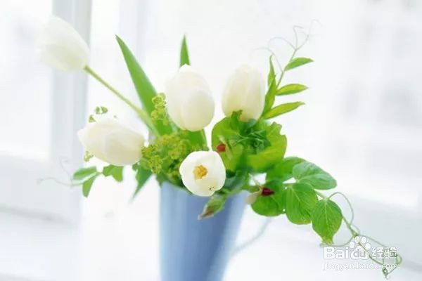 清玻蚀花怎么做