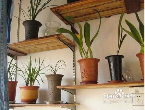 省钱新招：过剩地板DIY