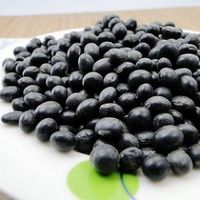 电脑族要如何预防脱发