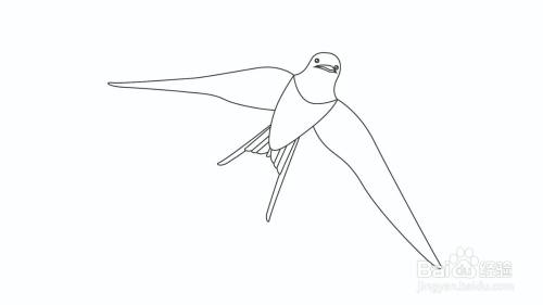 大雁怎么画才好看