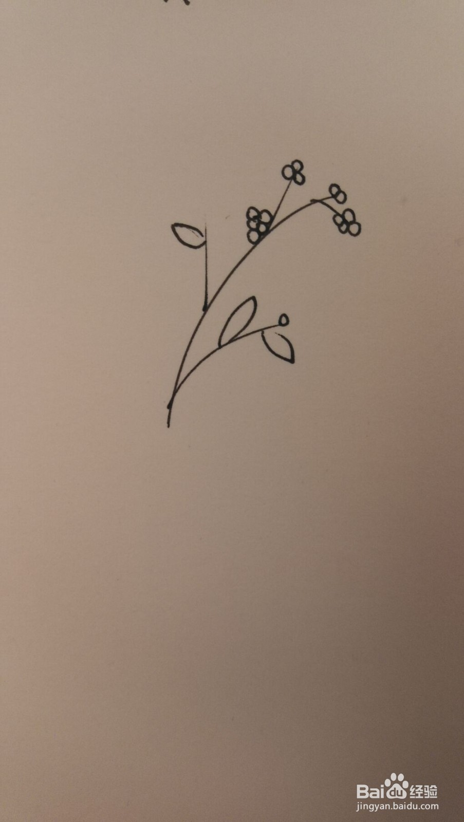 小草简笔画之画法四十九