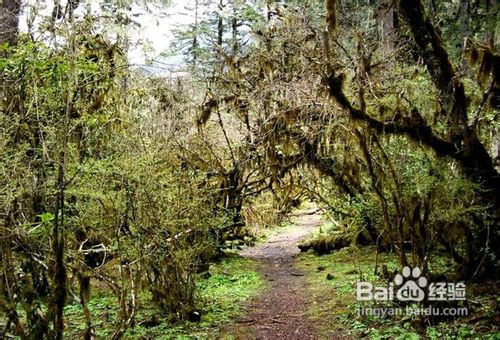 海螺沟旅游景点