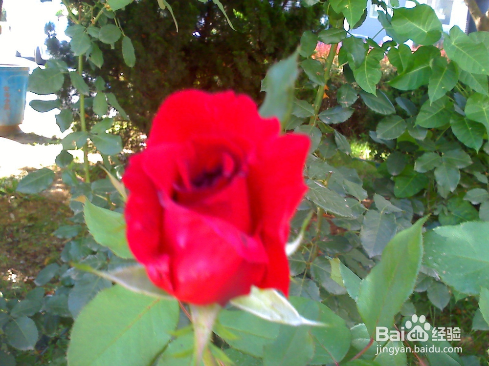 读书的好处---12