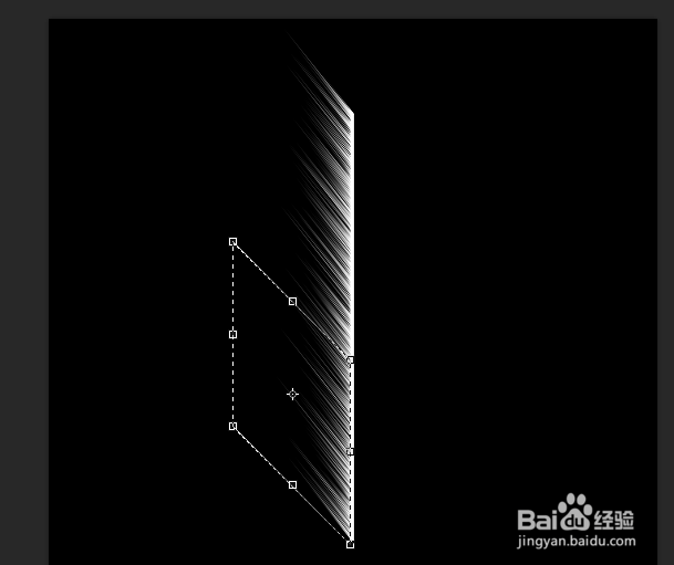 用Photoshop制作羽毛