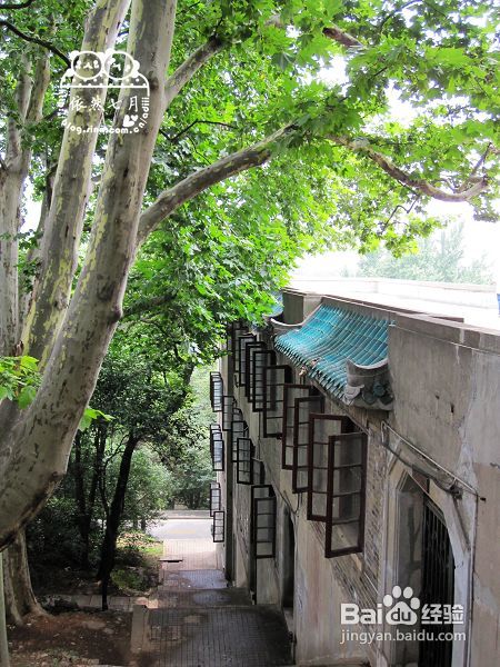 游.武汉——国立武汉大学